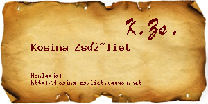 Kosina Zsüliet névjegykártya
